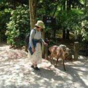 ヒメ日記 2025/04/03 21:09 投稿 せんり 奥様鉄道69 岡山店