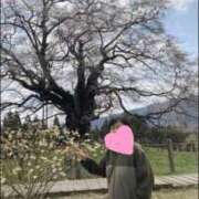 ヒメ日記 2025/04/06 14:19 投稿 せんり 奥様鉄道69 岡山店