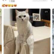 ヒメ日記 2025/06/30 08:49 投稿 せんり 奥様鉄道69 岡山店