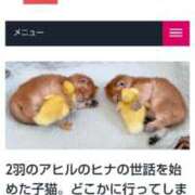 ヒメ日記 2025/08/25 12:29 投稿 せんり 奥様鉄道69 岡山店