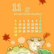 ヒメ日記 2025/11/06 12:15 投稿 せんり 奥様鉄道69 岡山店