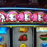 ヒメ日記 2025/12/14 13:59 投稿 せんり 奥様鉄道69 岡山店