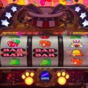 ヒメ日記 2025/12/16 15:59 投稿 せんり 奥様鉄道69 岡山店