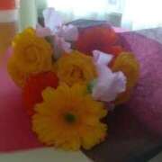 ヒメ日記 2025/12/26 16:59 投稿 せんり 奥様鉄道69 岡山店