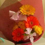 ヒメ日記 2025/12/29 10:19 投稿 せんり 奥様鉄道69 岡山店