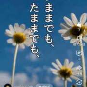 ヒメ日記 2025/12/31 15:46 投稿 せんり 奥様鉄道69 岡山店