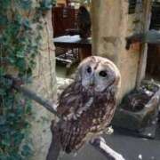 ヒメ日記 2026/01/14 12:39 投稿 せんり 奥様鉄道69 岡山店