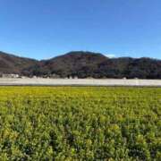 ヒメ日記 2026/03/14 12:39 投稿 せんり 奥様鉄道69 岡山店