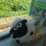 ヒメ日記 2026/06/23 13:32 投稿 せんり 奥様鉄道69 岡山店