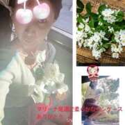 ヒメ日記 2024/12/28 12:00 投稿 なつみ 奥様鉄道69 岡山店