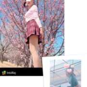 ヒメ日記 2025/03/29 10:55 投稿 なつみ 奥様鉄道69 岡山店