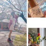 ヒメ日記 2025/04/05 11:49 投稿 なつみ 奥様鉄道69 岡山店