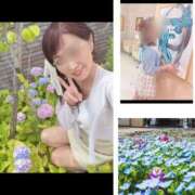 ヒメ日記 2025/05/17 11:52 投稿 なつみ 奥様鉄道69 岡山店