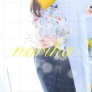 ヒメ日記 2026/03/01 11:39 投稿 のりか 奥様鉄道69 岡山店