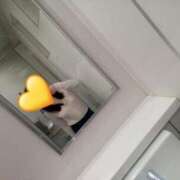 ヒメ日記 2025/04/19 08:59 投稿 あずさ 奥様鉄道69 岡山店