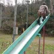 ヒメ日記 2025/09/02 11:49 投稿 あずさ 奥様鉄道69 岡山店