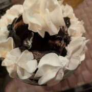 ヒメ日記 2025/10/07 08:29 投稿 あずさ 奥様鉄道69 岡山店