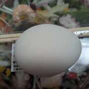 ヒメ日記 2025/11/15 20:59 投稿 あずさ 奥様鉄道69 岡山店