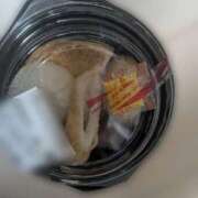 ヒメ日記 2026/02/24 20:29 投稿 あずさ 奥様鉄道69 岡山店