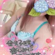 ヒメ日記 2026/05/13 11:52 投稿 ゆみ 奥様鉄道69 岡山店