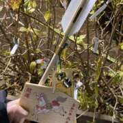 ヒメ日記 2026/01/01 10:01 投稿 あずみ 船橋桃色の妻たち