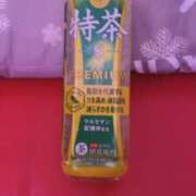 ヒメ日記 2026/03/15 12:59 投稿 りあ 船橋桃色の妻たち