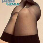 ヒメ日記 2026/01/26 12:29 投稿 あおい 船橋桃色の妻たち