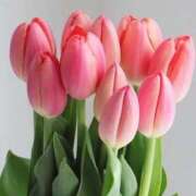 ヒメ日記 2026/03/01 10:39 投稿 ひかり 船橋桃色の妻たち