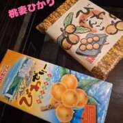 ひかり ありがとうございました 船橋桃色の妻たち