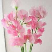 ヒメ日記 2026/03/08 10:45 投稿 ひかり 船橋桃色の妻たち