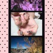 ヒメ日記 2026/04/13 17:05 投稿 あまね 熟女家 ミナミエリア店