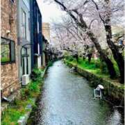 ヒメ日記 2025/04/08 19:58 投稿 ふうかさん いけない奥さん 梅田店