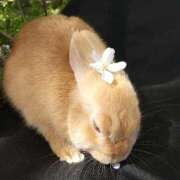 ヒメ日記 2025/04/21 16:42 投稿 ふうかさん いけない奥さん 梅田店