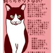 ヒメ日記 2025/05/20 19:38 投稿 ふうかさん いけない奥さん 梅田店