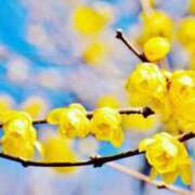 ヒメ日記 2025/03/17 09:02 投稿 りおん Wonder7 (ワンダー7)