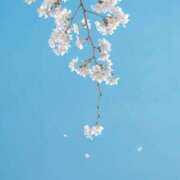 ヒメ日記 2025/04/15 10:37 投稿 りおん Wonder7 (ワンダー7)