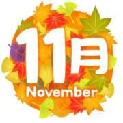 ヒメ日記 2025/11/04 11:30 投稿 りおん Wonder7 (ワンダー7)