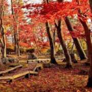 ヒメ日記 2025/11/10 10:30 投稿 りおん Wonder7 (ワンダー7)