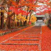 ヒメ日記 2025/11/18 11:01 投稿 りおん Wonder7 (ワンダー7)