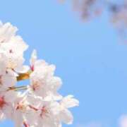 ヒメ日記 2026/03/30 09:01 投稿 りおん Wonder7 (ワンダー7)