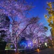 ヒメ日記 2026/04/04 23:41 投稿 瑞希 出会い系人妻ネットワーク 渋谷〜目黒編