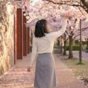 ヒメ日記 2026/04/05 11:41 投稿 瑞希 出会い系人妻ネットワーク 渋谷〜目黒編