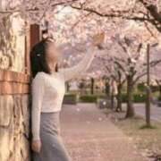 ヒメ日記 2026/04/10 19:21 投稿 瑞希 出会い系人妻ネットワーク 渋谷〜目黒編