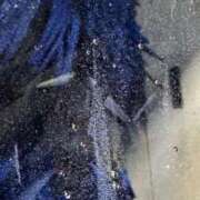 ヒメ日記 2025/08/17 02:51 投稿 加藤 人妻楼 熊谷店