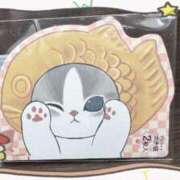 ヒメ日記 2025/11/24 19:35 投稿 加藤 人妻楼 熊谷店