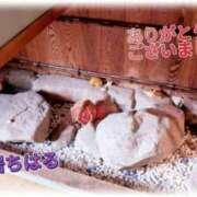 ヒメ日記 2025/11/02 18:22 投稿 中居ちはる 五十路マダム　広島店