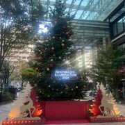 ヒメ日記 2024/12/20 18:44 投稿 ルイ タレントCLUB