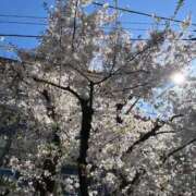 ヒメ日記 2025/04/04 18:37 投稿 ルイ タレントCLUB