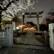 ヒメ日記 2025/04/08 07:03 投稿 ルイ タレントCLUB