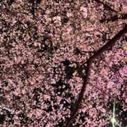 ヒメ日記 2025/04/09 22:31 投稿 ルイ タレントCLUB